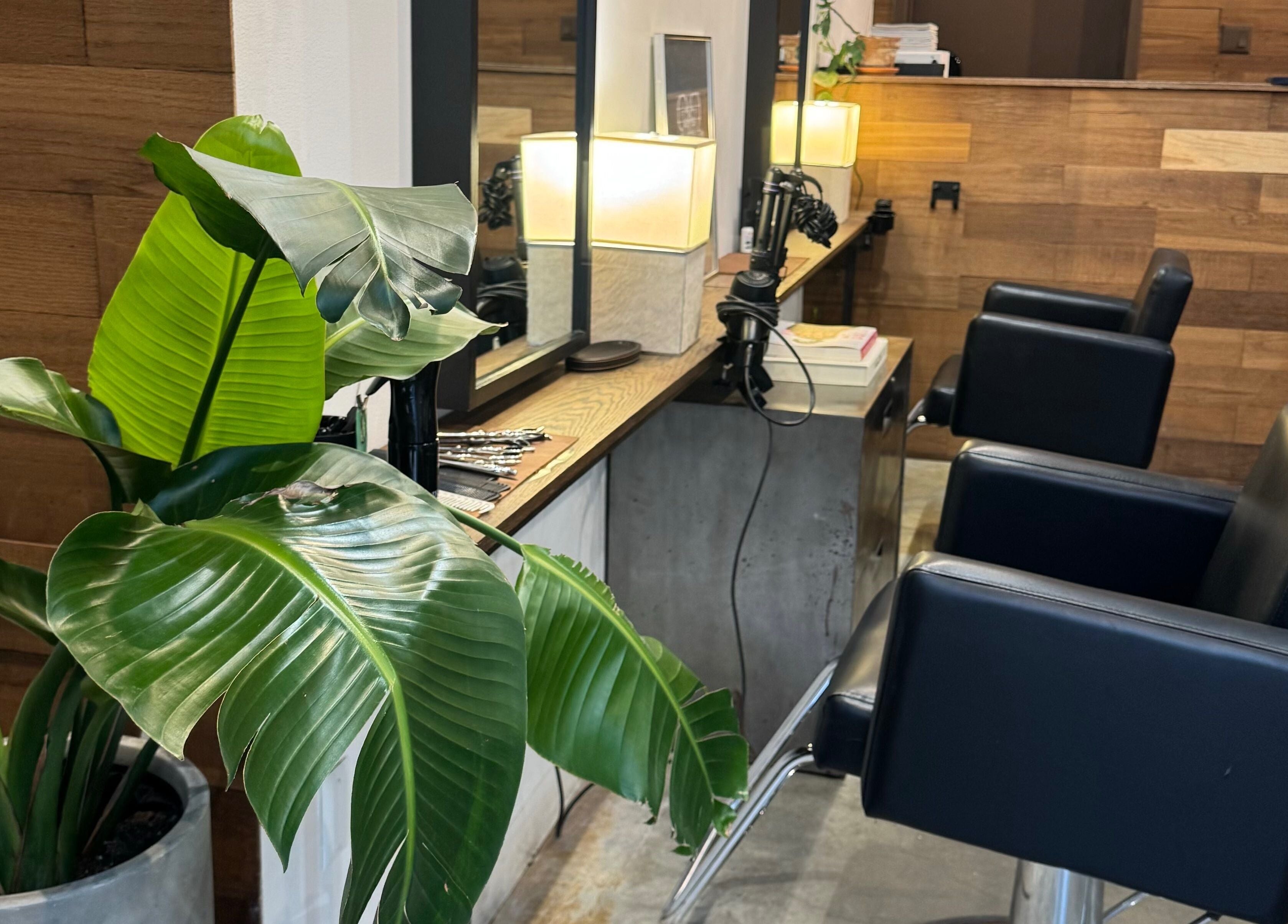 Stylish hair salon seating at Laurel Bowery, New York, New York, US with lush greenery and modern decor.