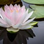 Dia Dhuit Thai Spa Bray - Co. Wicklow, Quinsborough Road 1A, Bray, Bray, County Wicklow