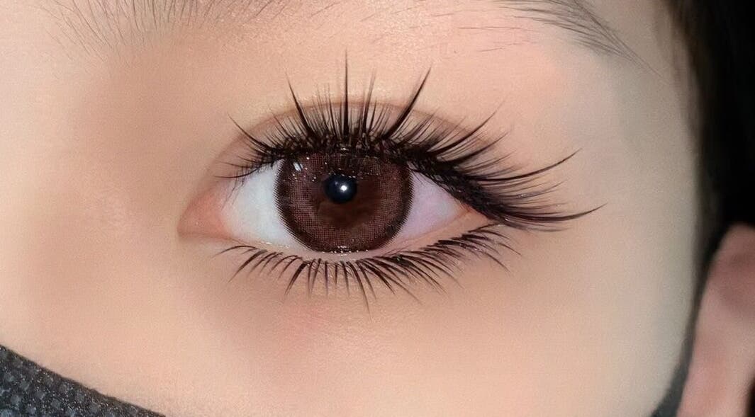 Close-up of beautifully styled lashes at Fancy Lash - Bondi Junction, Bondi Junction, New South Wales, AU.