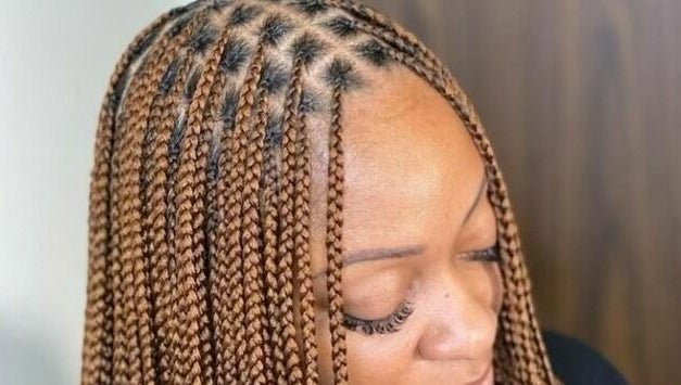 Posh Braids صورة 1