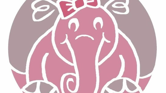 Pink Elephant Therapy