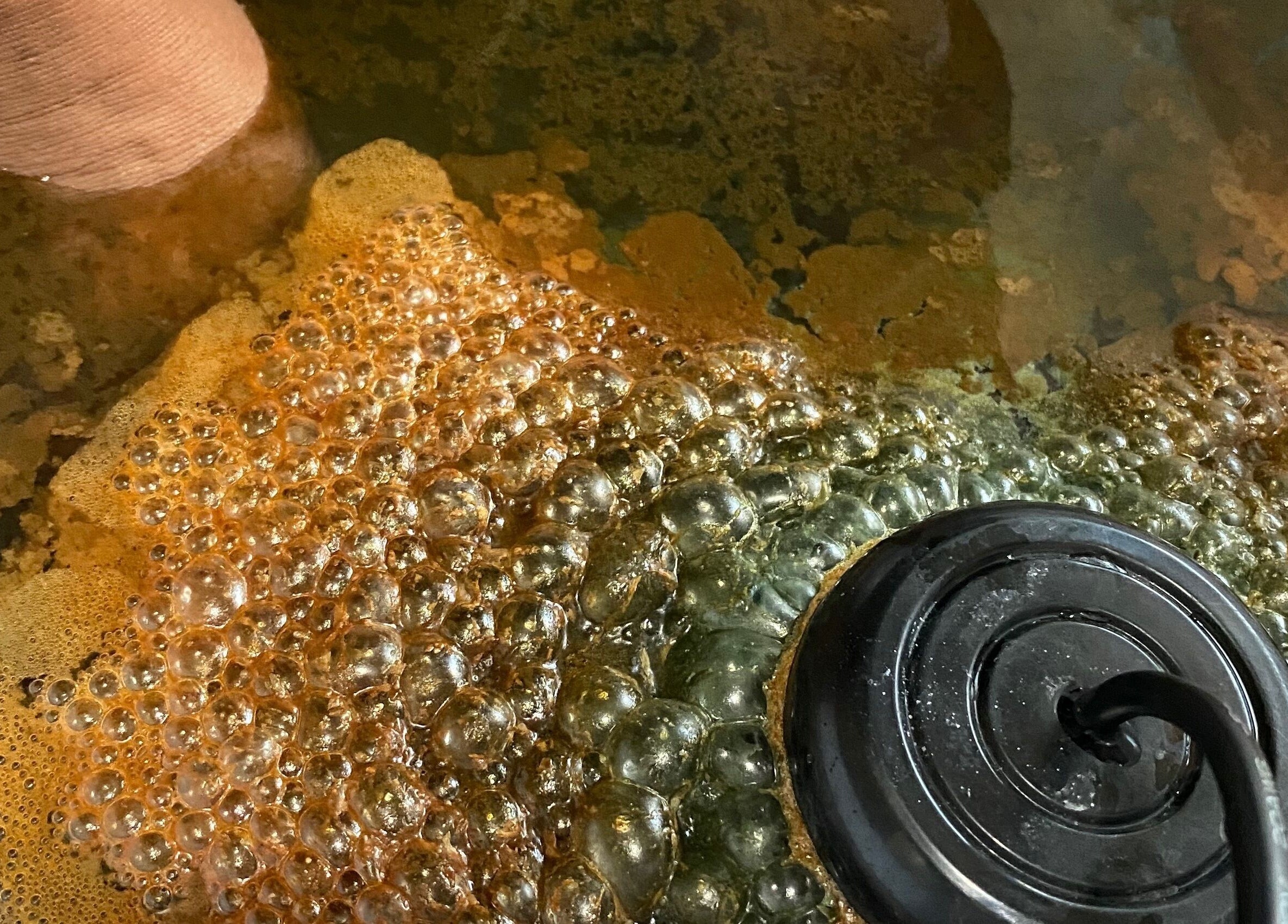 Luxidermis Organix foot detox treatment in Portmore, St. Catherine Parish, JM featuring bubbling water.