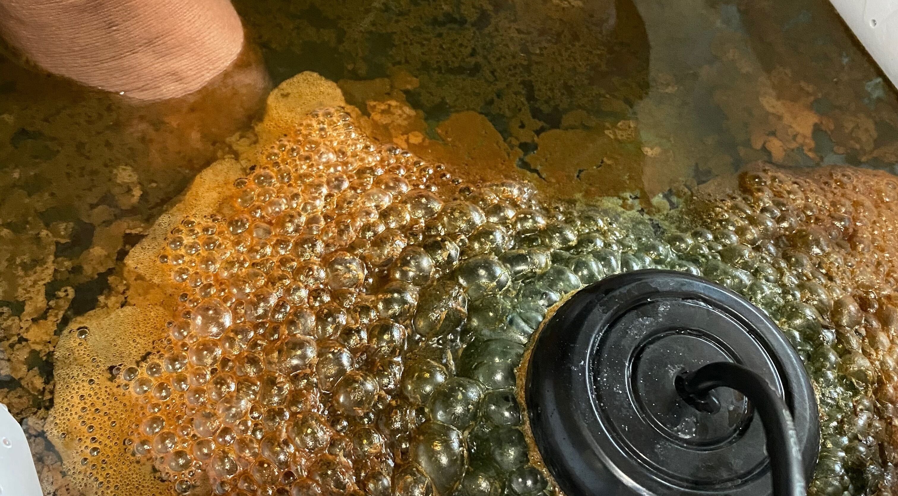 Luxidermis Organix foot detox treatment in Portmore, St. Catherine Parish, JM featuring bubbling water.