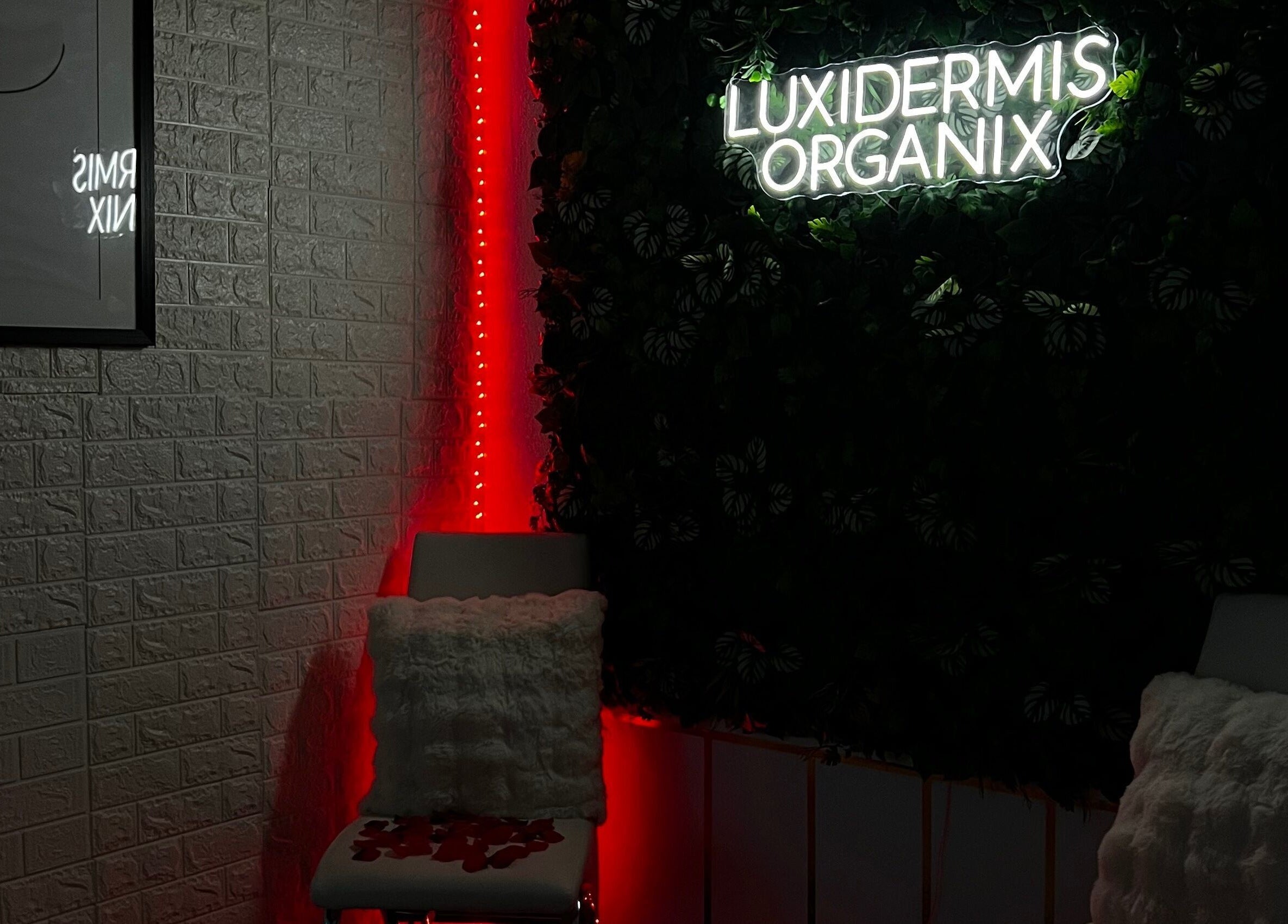 Luxidermis Organix welcoming, serene corner with plush chair in Portmore, St. Catherine Parish, JM.