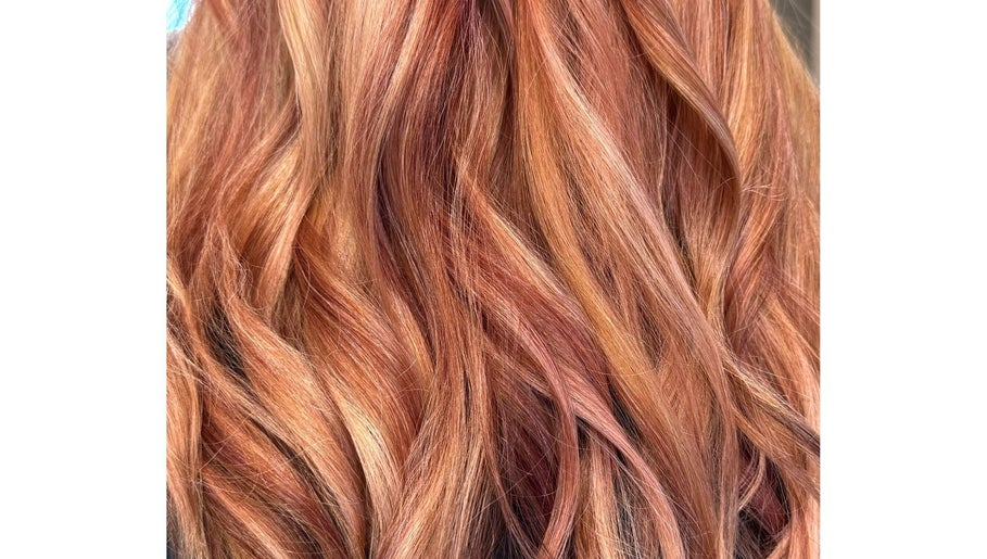 Bushy Beach Hair Co. image 1