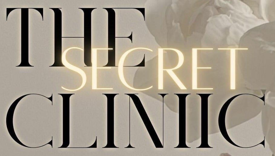 The Secret Clinic изображение 1