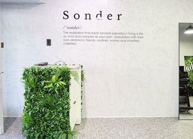 Sonder Mens | Bondi Junction welcoming area with greenery in Bondi Junction, New South Wales, AU.