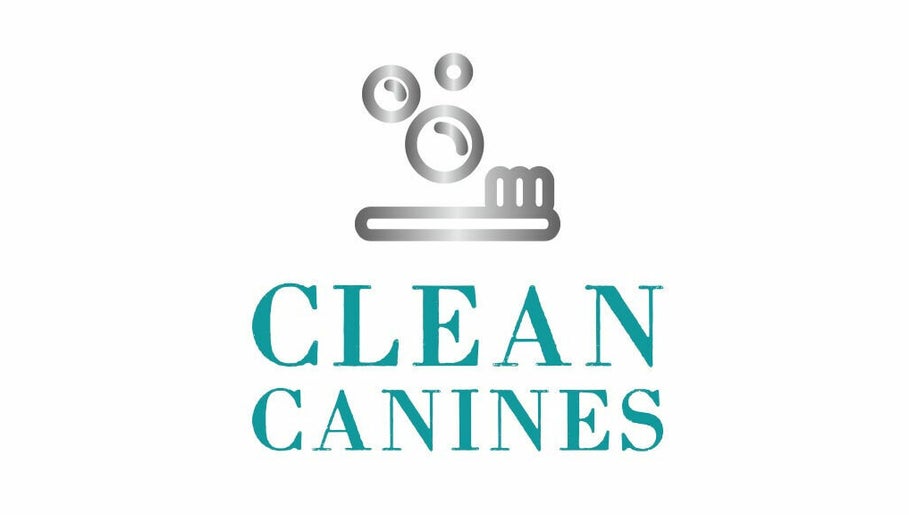 Clean Canines 1paveikslėlis