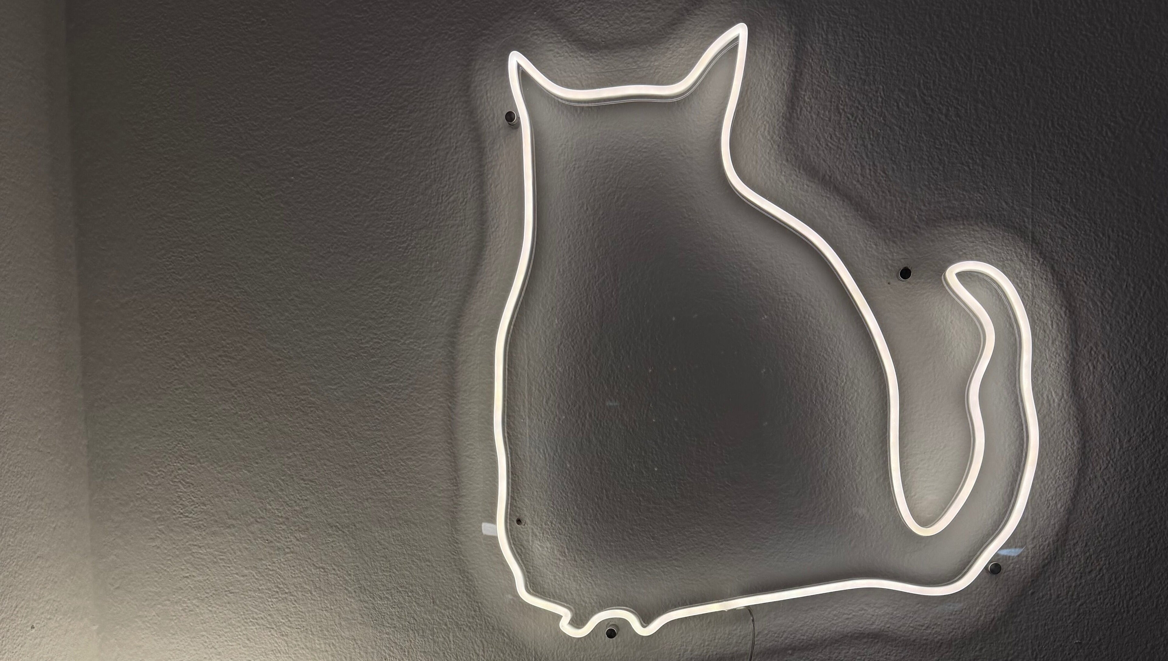 Glowing neon cat outline on wall at Ella Bish Nails, Glasgow, Scotland, GB.