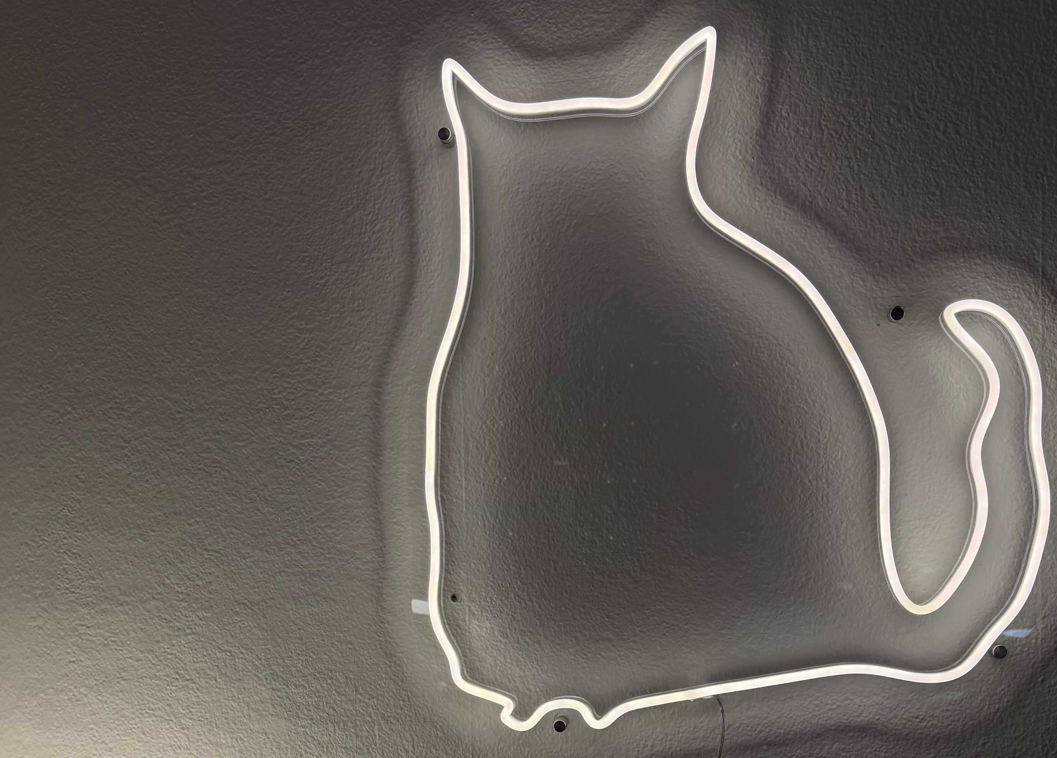 Glowing neon cat outline on wall at Ella Bish Nails, Glasgow, Scotland, GB.