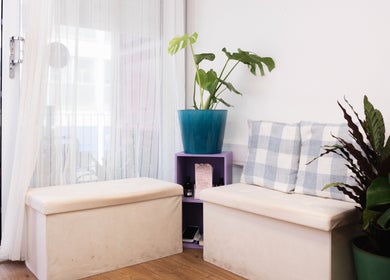 Cozy waiting area at Paul Sri, London, England with plants and soft seating, perfect for relaxation.