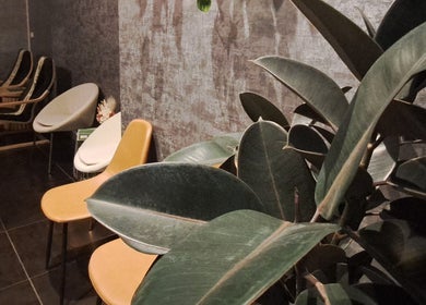 Stylish waiting area with chairs and plants at Elegant Thai Massage in Melbourne, Australia, AU.