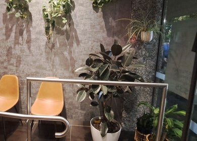 Welcoming lounge at Elegant Thai Massage, Melbourne, Australia. Stylish seating with lush plants.