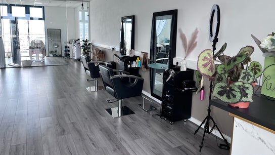 The Beauty Deck