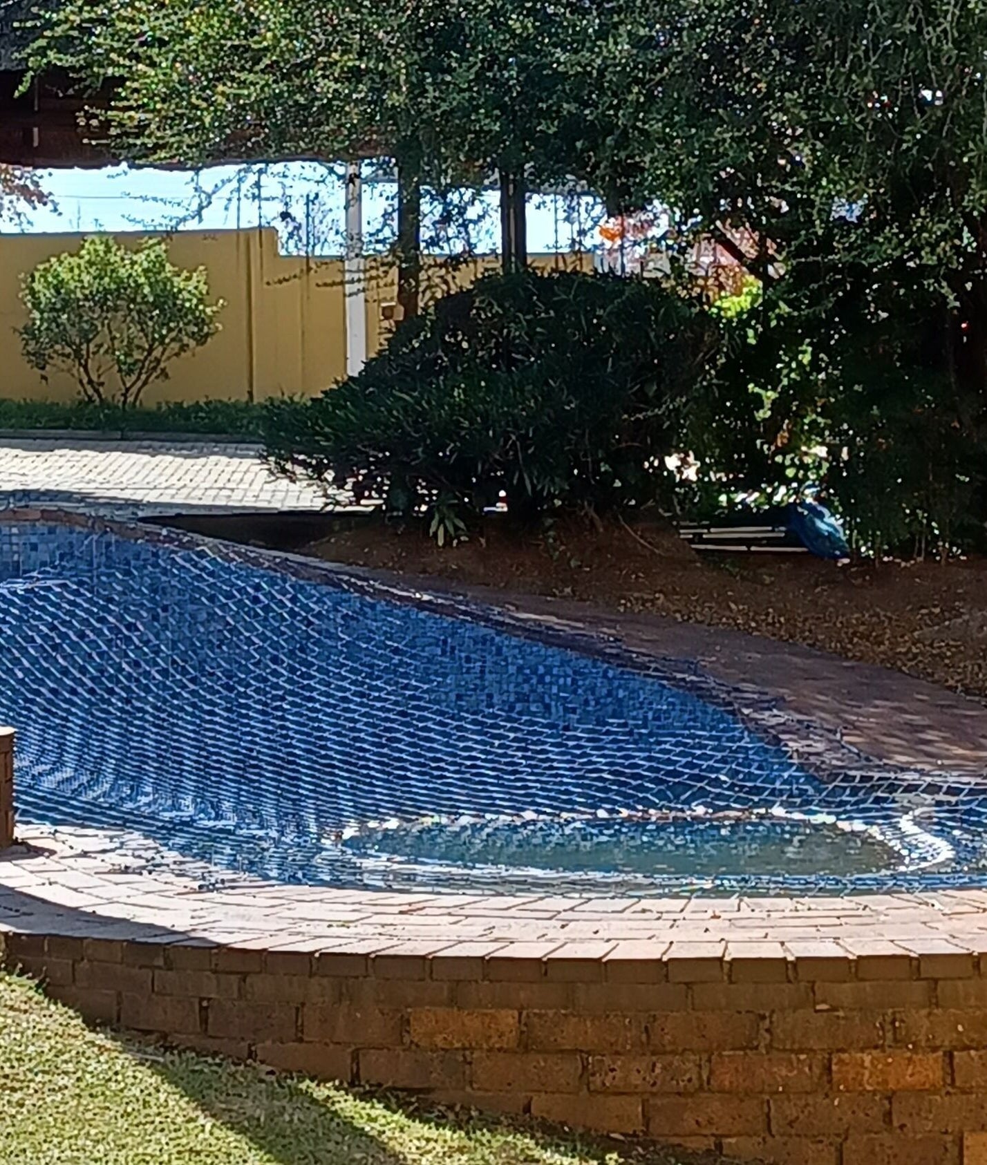Outdoor relaxation area at Zader Beauty Bar in Johannesburg, Gauteng, ZA with a beautifully landscaped poolside.
