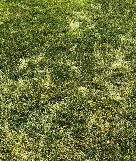 Will’s Mowing Company image 2