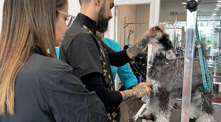 Groomers cuidam de cão em A Rigor SPA Canino (Alverca), Alverca Do Ribatejo, Lisboa, PT.