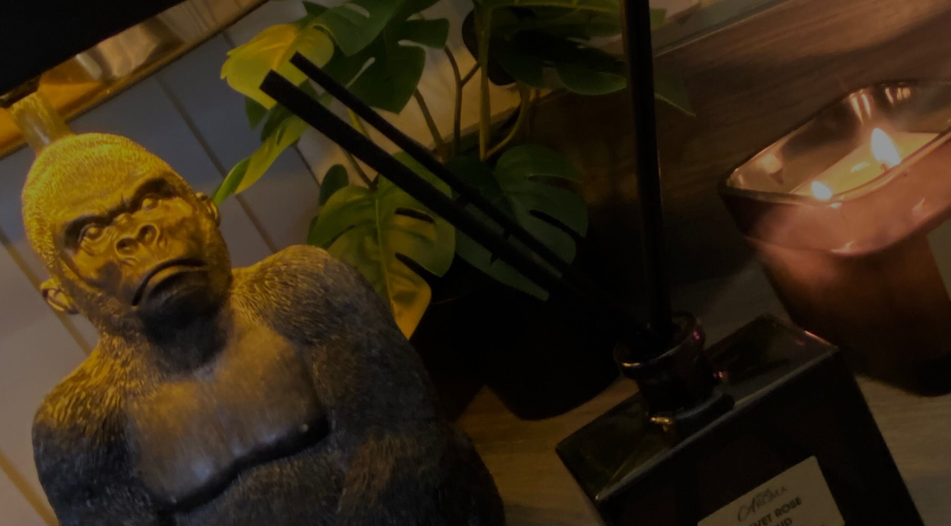 Cozy decor with gorilla statue, candle, and plant in Neeve Backhouse, Marske-by-the-sea, England, GB.