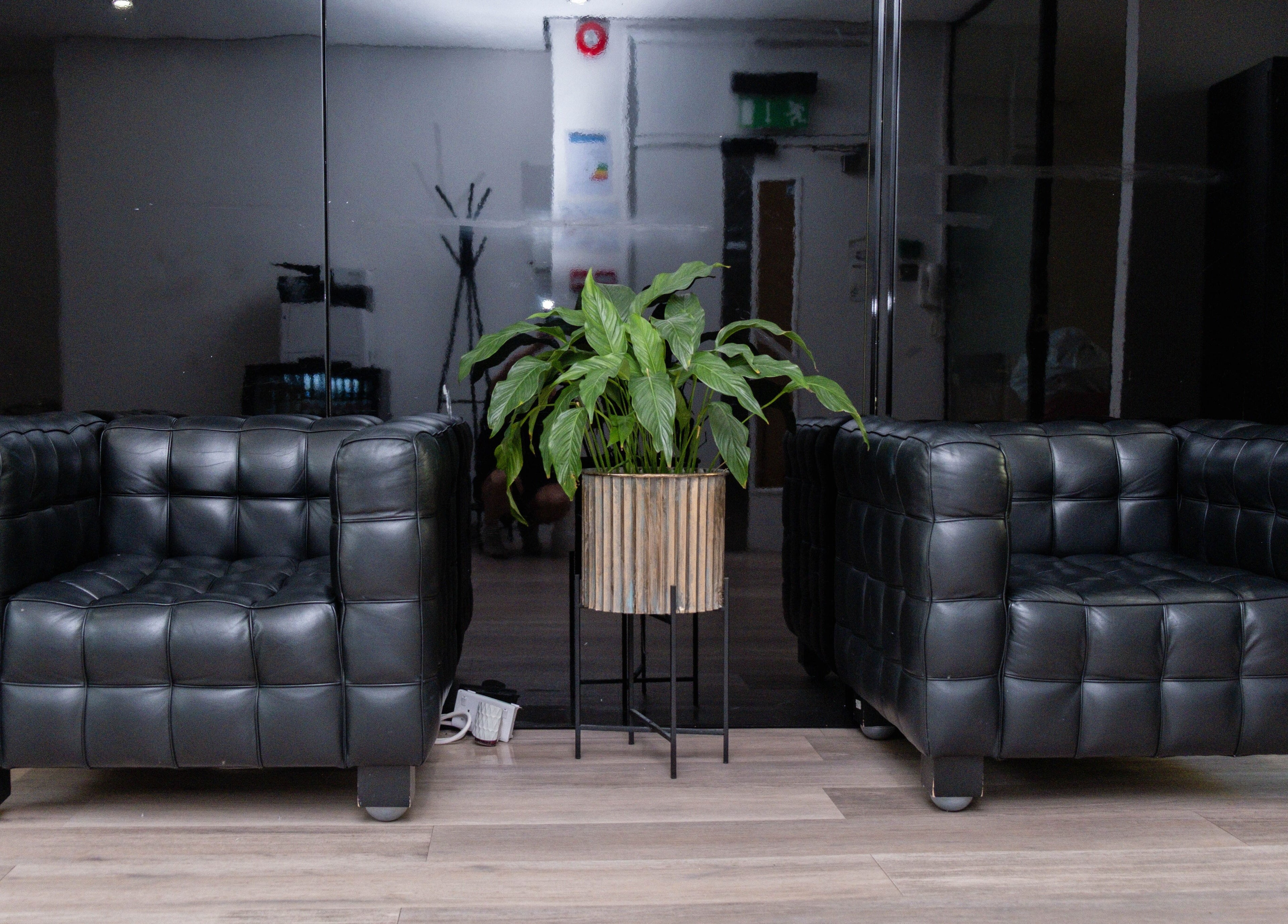 Stylish black leather chairs and plant at Unique Brow London, London, England, GB.