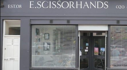 E.Scissorhands image 3
