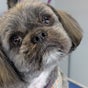 The Dogfather Groomers - 20 Pedder Street, Morecambe, England