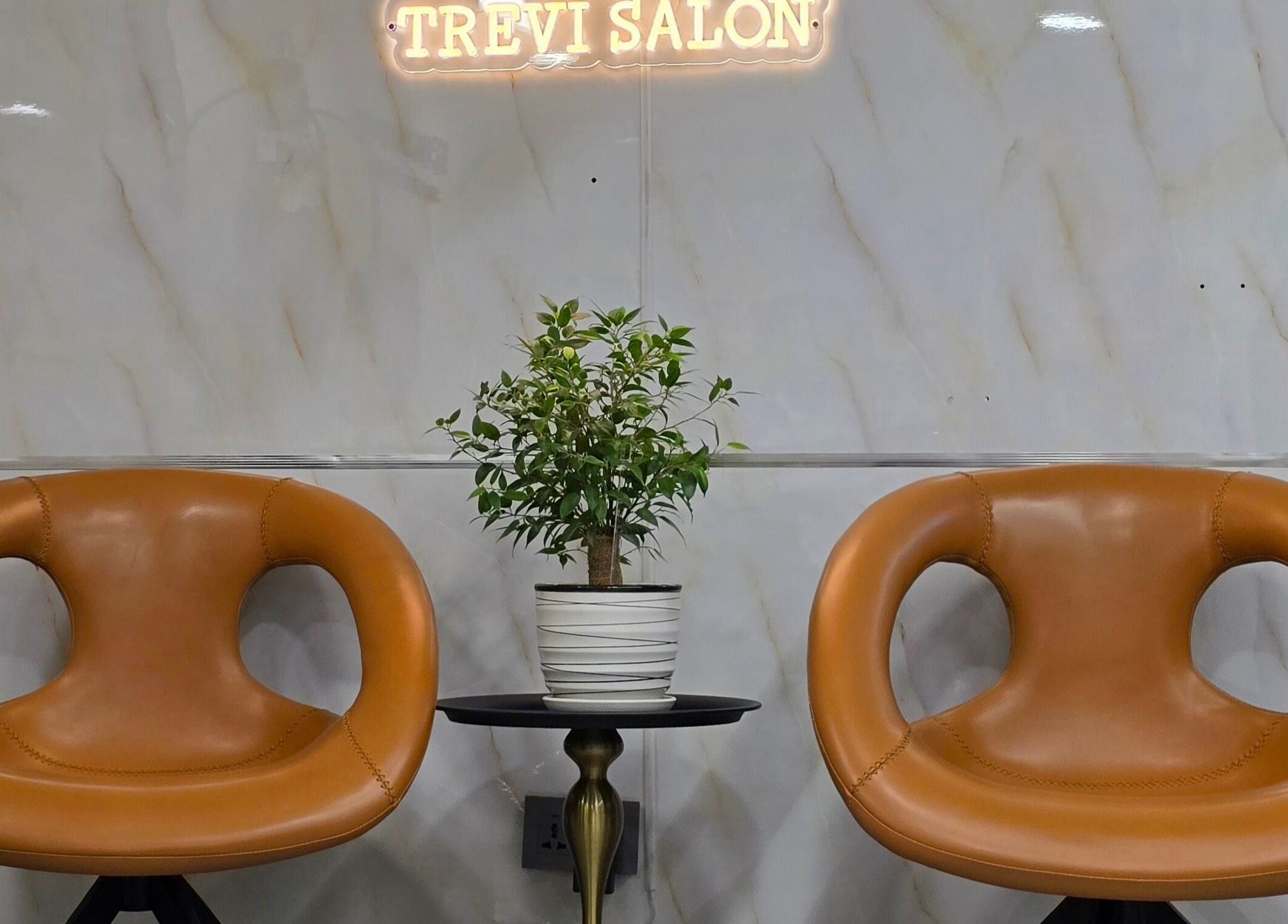 Elegant seating area at TREVI SALON, Dubai, Dubai, AE, featuring modern leather chairs and a plant.