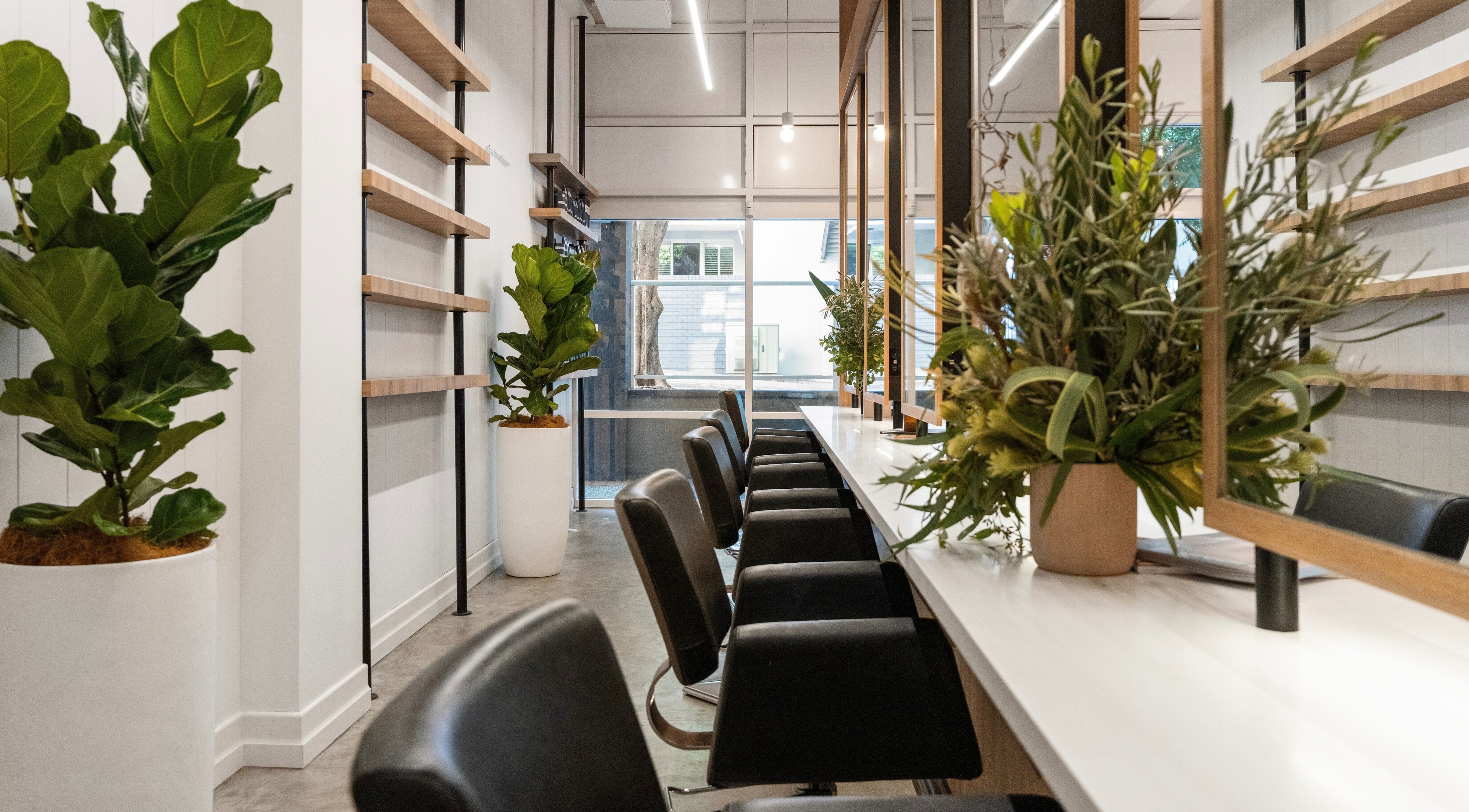 Serene interior of Edwards And Co Concept Teneriffe, a beauty venue in Teneriffe, Queensland, AU with greenery.