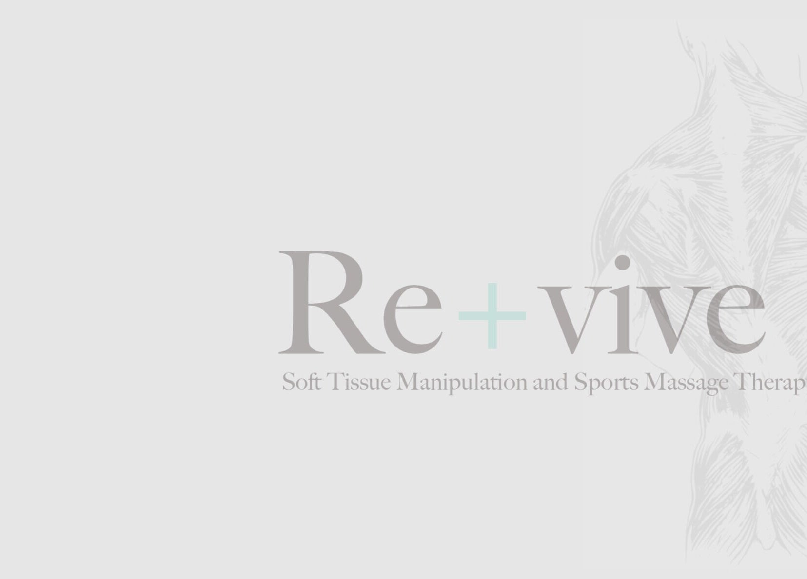 Re+vive South Canterbury logo with anatomical art, located in Timaru, Canterbury, NZ, offering massage therapy.