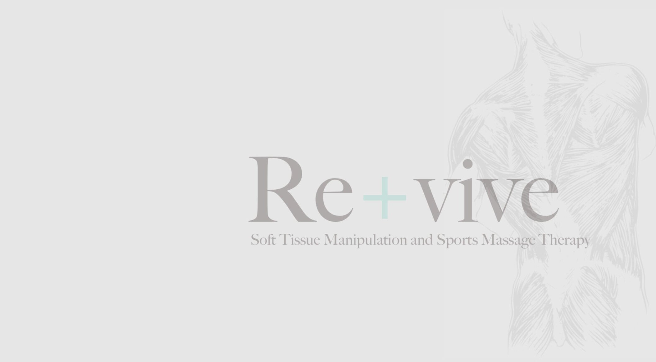 Re+vive South Canterbury logo with anatomical art, located in Timaru, Canterbury, NZ, offering massage therapy.
