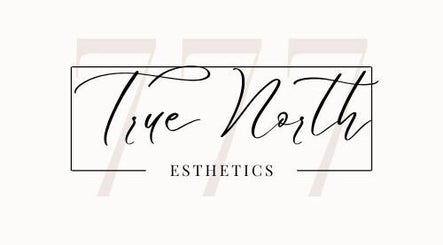 True North Aesthetics & Wellness LLC