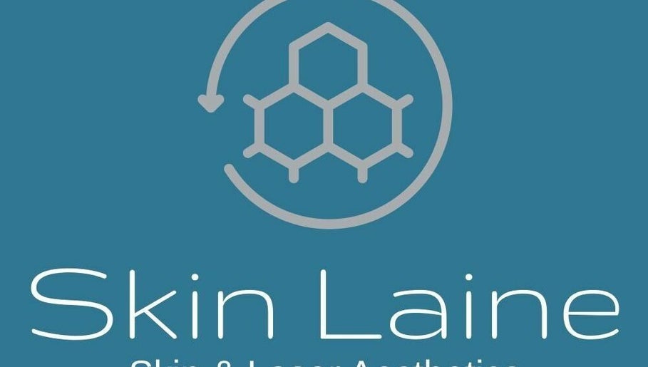 Skin Laine imagem 1