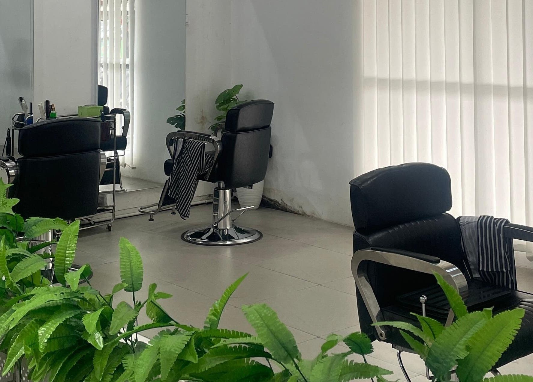 Modern salon chairs and lush plants at ELKAP TRUNOJOYO, Jawa Timur, Jawa Timur, ID offer a relaxing vibe.