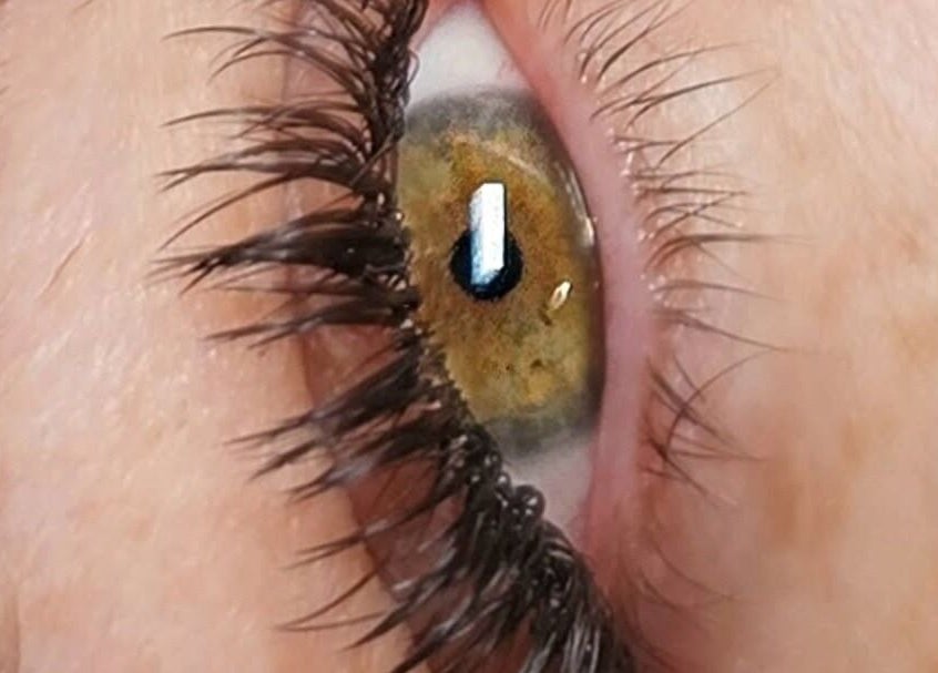 Close-up of enhanced lashes at Beauty with Tara, Douglas, Queensland, AU.