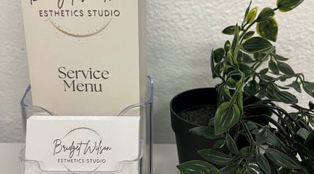 Bridget Wilson Esthetics Studio service menu in Sault Ste. Marie, Ontario, CA, with potted plant.