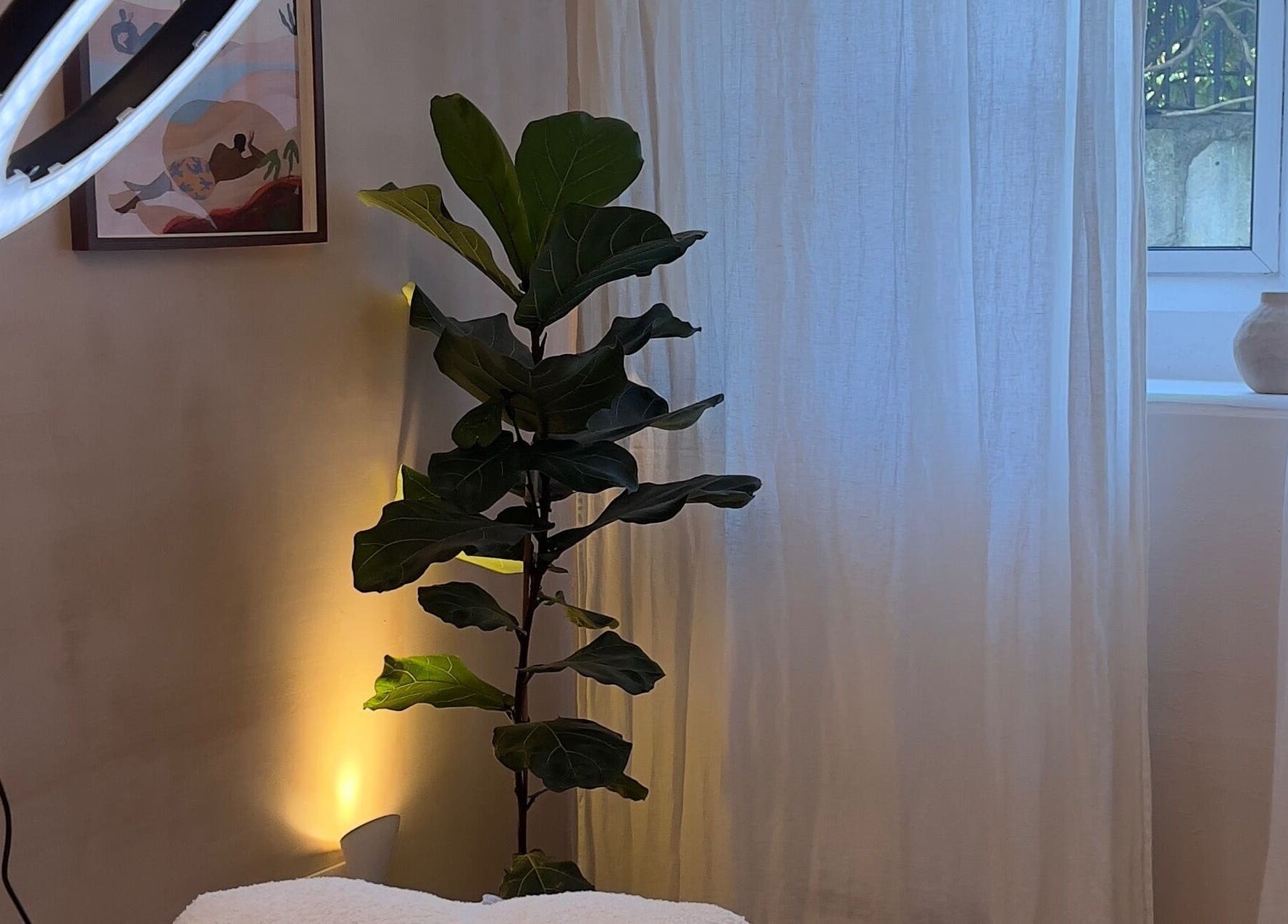 Relaxing treatment room at The Lash Place - Trowbridge, Trowbridge, England, GB with soft lighting and greenery.