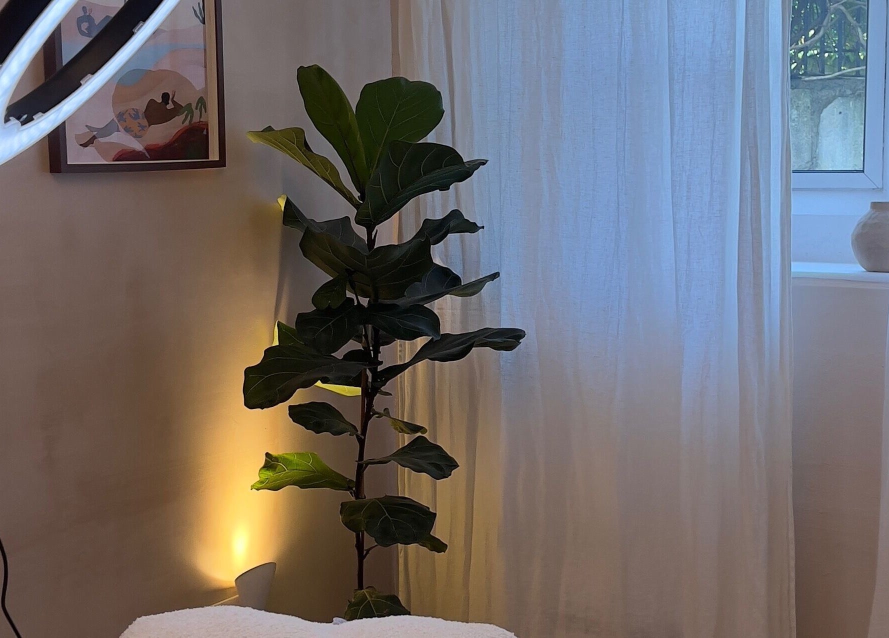 Relaxing treatment room at The Lash Place - Trowbridge, Trowbridge, England, GB with soft lighting and greenery.
