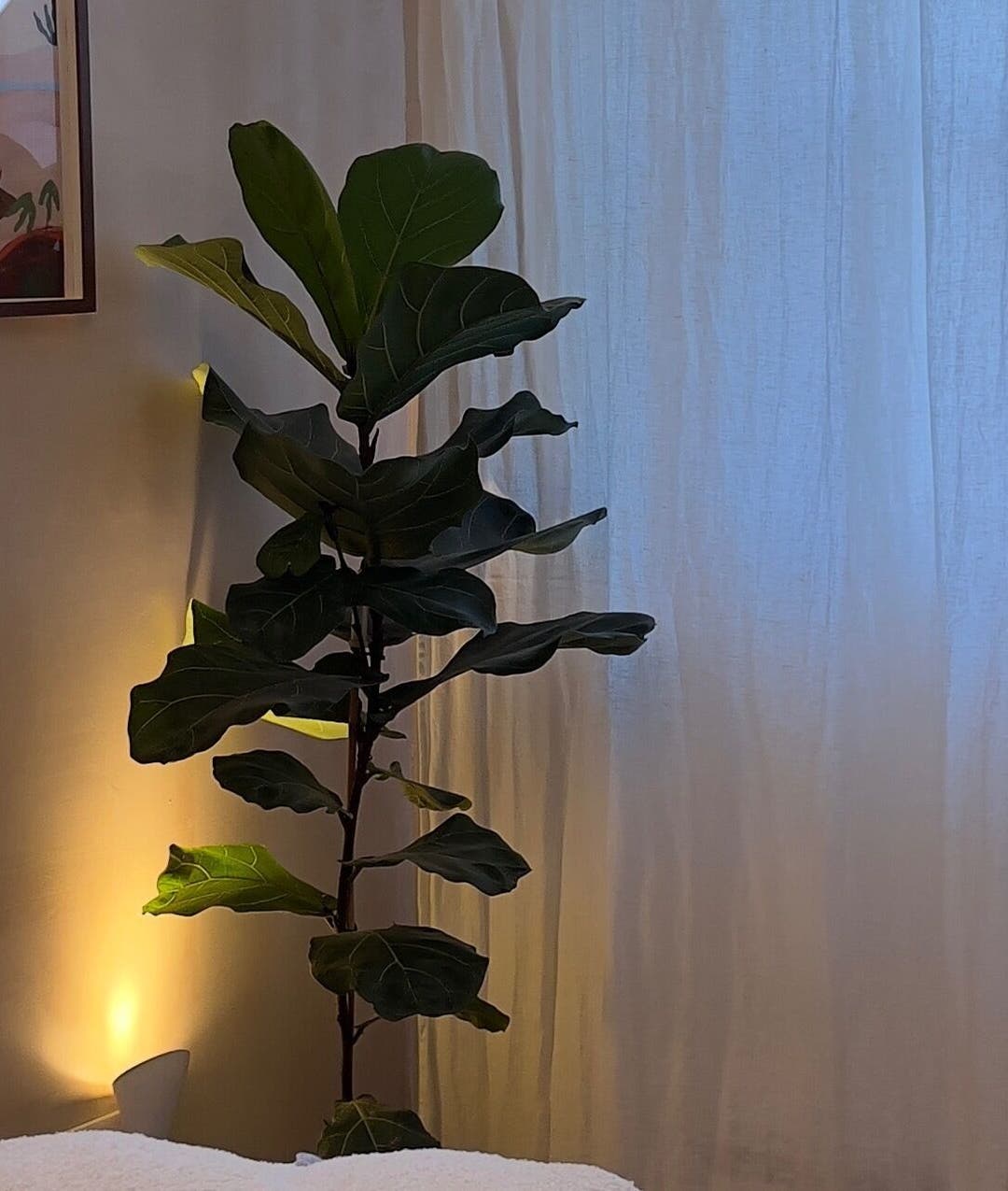 Relaxing treatment room at The Lash Place - Trowbridge, Trowbridge, England, GB with soft lighting and greenery.