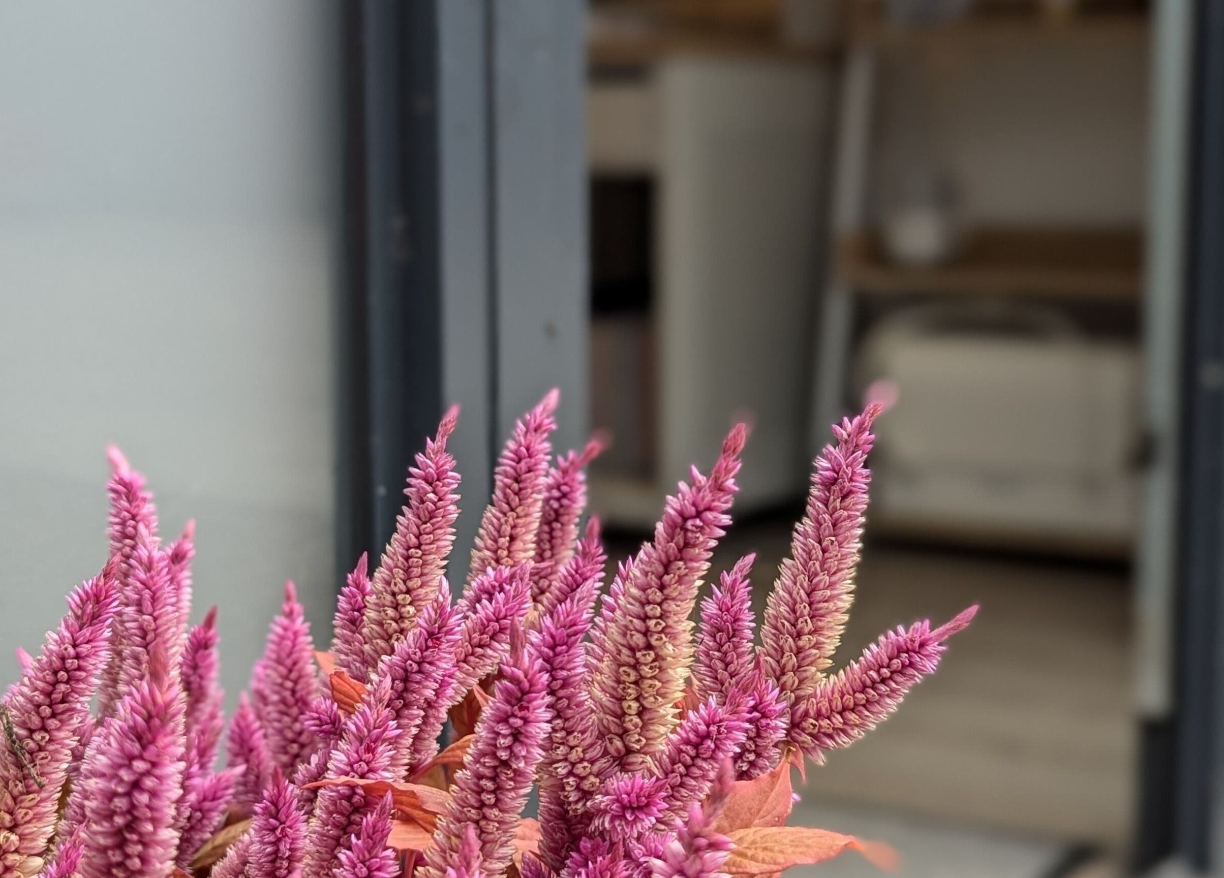 Elegant pink flowers at Glow Aesthetics, Stretcholt, England, GB, enhancing the serene ambiance.