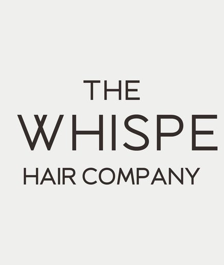 The Wig Whisperer Hair Company image 2