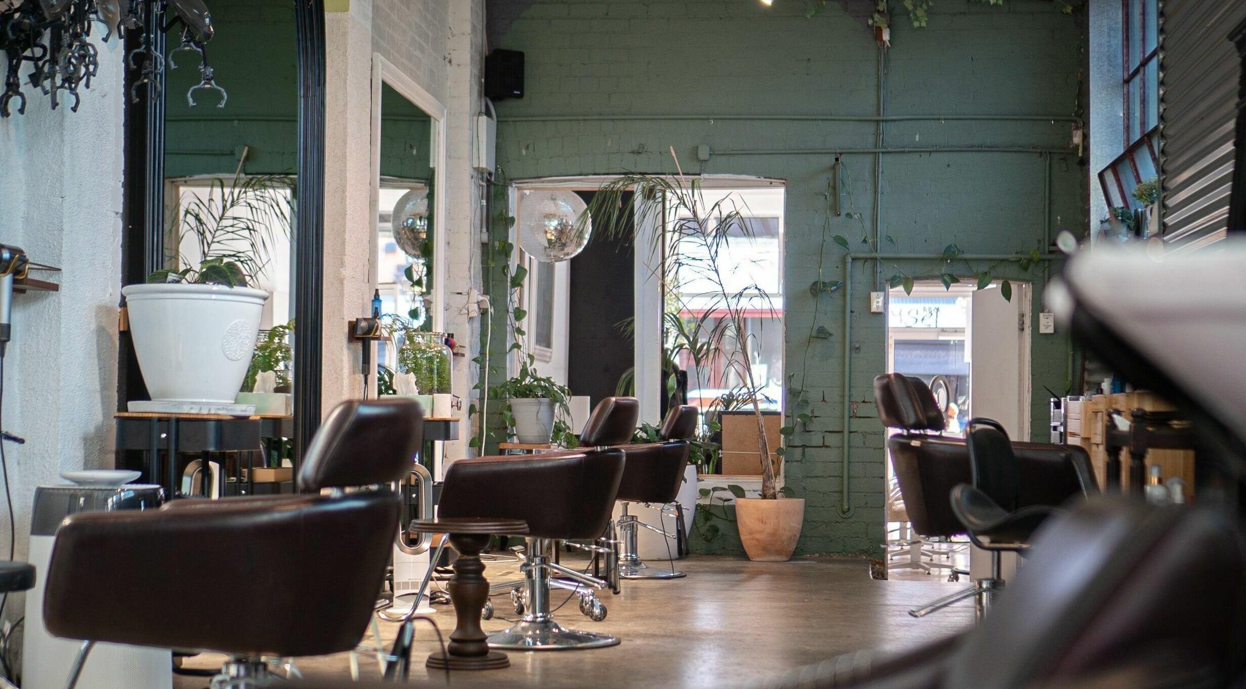 Interior of Ellie and Frank Salon in Melbourne, Victoria, AU with modern chairs and lush plants.