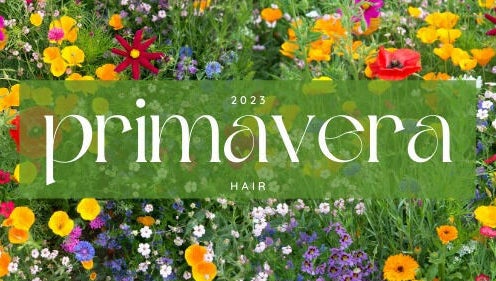 Primavera Hair - Based at Beauty Paradise obrázek 1