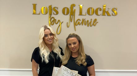 Lots of Locks by Marnie LTD image 2