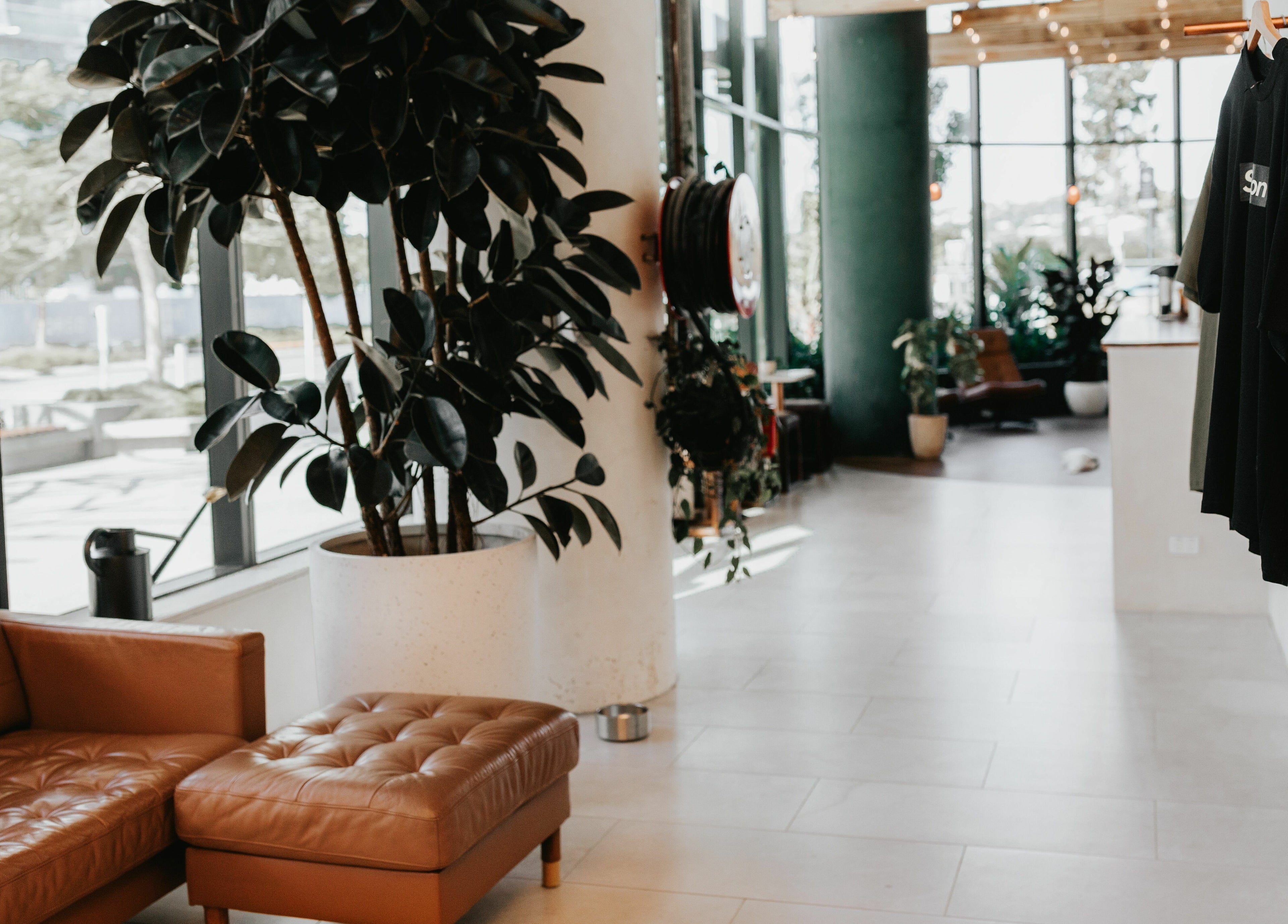 Stylish interior of Stallion, Maroochydore, QLD, AU featuring modern decor and cozy seating.