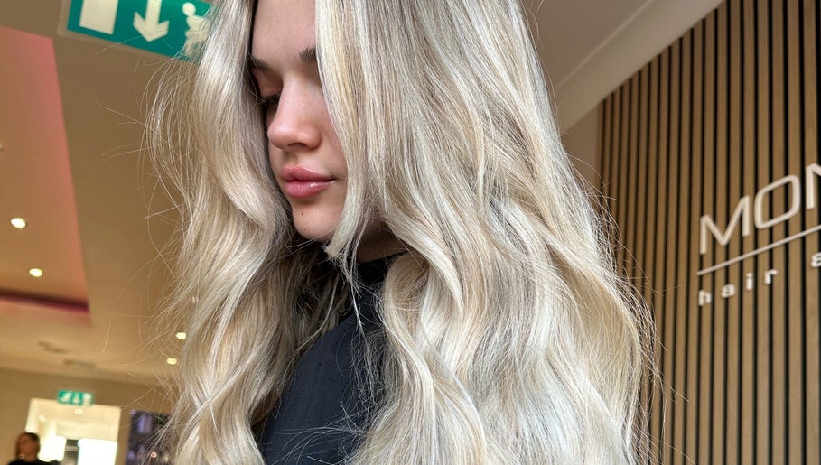 Imagen 1 de Ella Healey Hair
