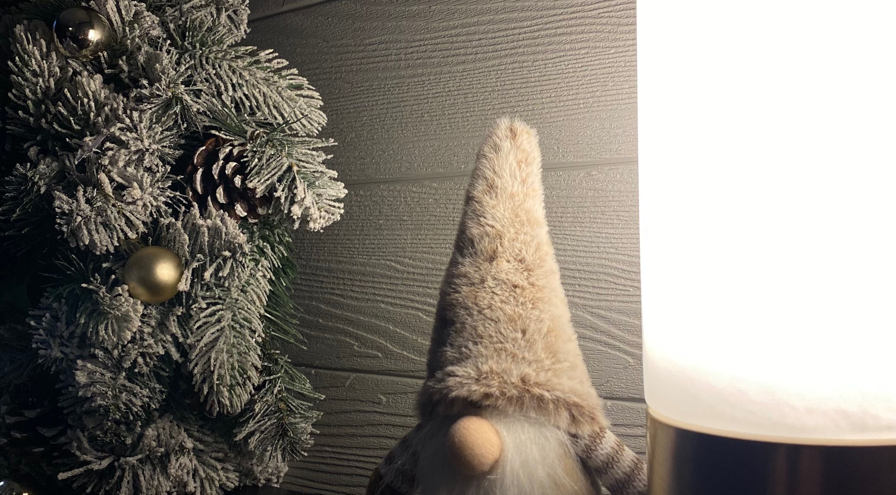 Festive decor with frosted pine and gnome at Healing Muscles Northampton, Overstone, England, GB.