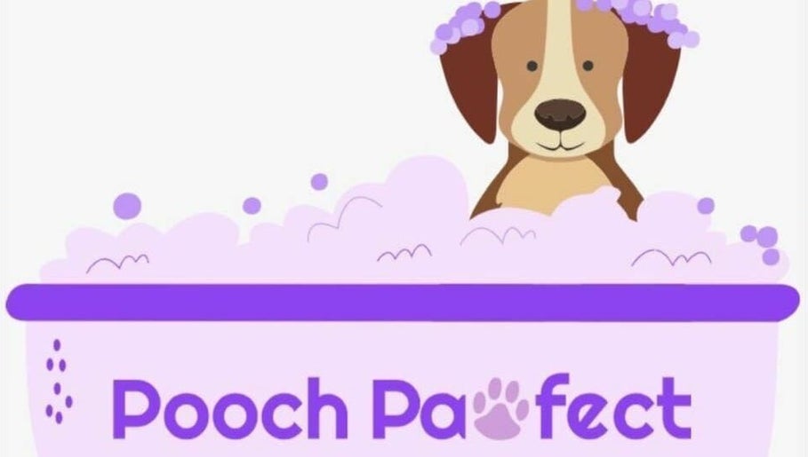 Pooch Pawfect image 1