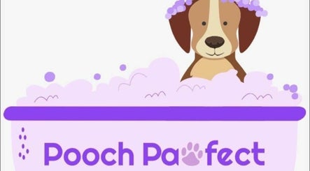 Pooch Pawfect