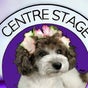 Centre Stage Dog Grooming - Cheapside Road, 57c , Windsor & Maidenhead, Ascot, UK