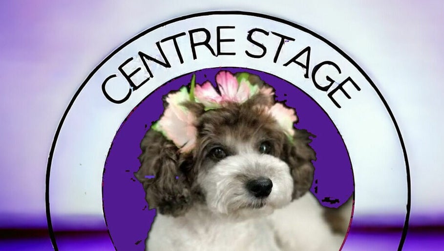 Centre Stage Dog Grooming imaginea 1