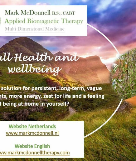 Applied Biomagnetic Therapy Mark McDonnell – obraz 2